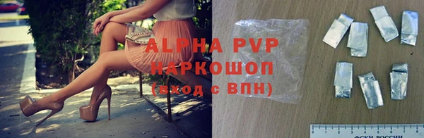 ГАЛЛЮЦИНОГЕННЫЕ ГРИБЫ Ельня