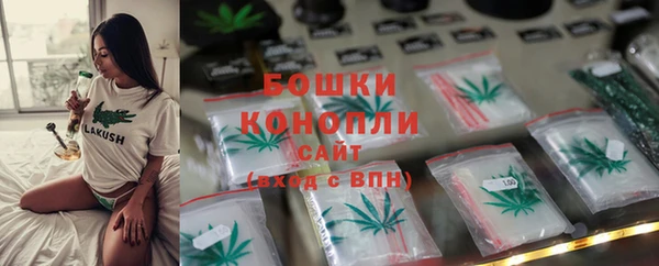 ГАЛЛЮЦИНОГЕННЫЕ ГРИБЫ Ельня