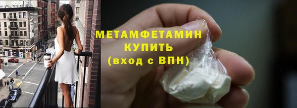 ГАЛЛЮЦИНОГЕННЫЕ ГРИБЫ Ельня