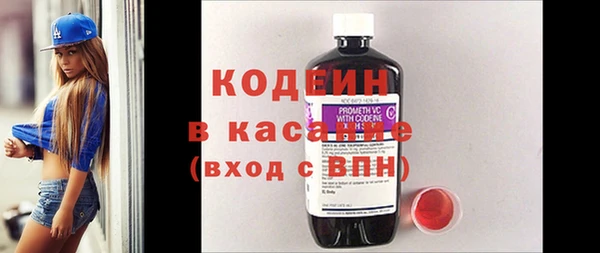 крисы Елабуга