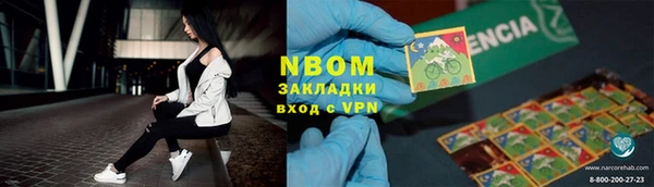 крисы Елабуга