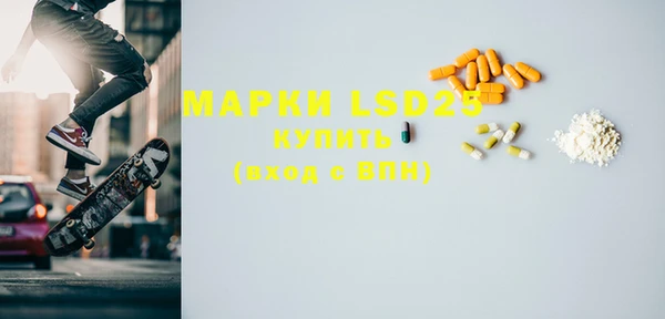 ГАЛЛЮЦИНОГЕННЫЕ ГРИБЫ Ельня