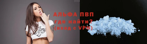 крисы Елабуга