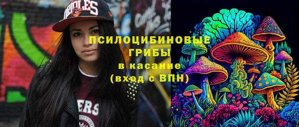 ГАЛЛЮЦИНОГЕННЫЕ ГРИБЫ Ельня
