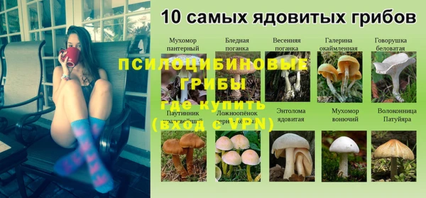 ГАЛЛЮЦИНОГЕННЫЕ ГРИБЫ Ельня