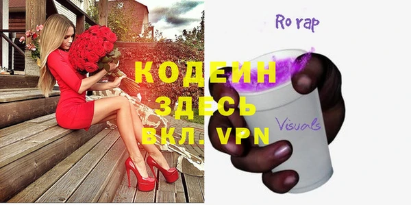 крисы Елабуга