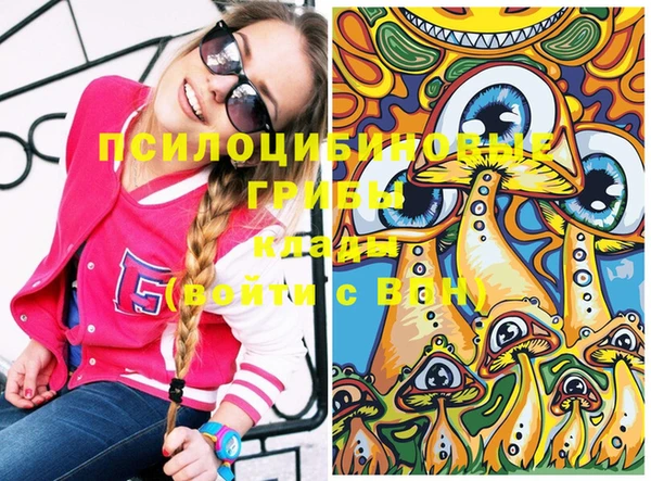 МДПВ Елизово