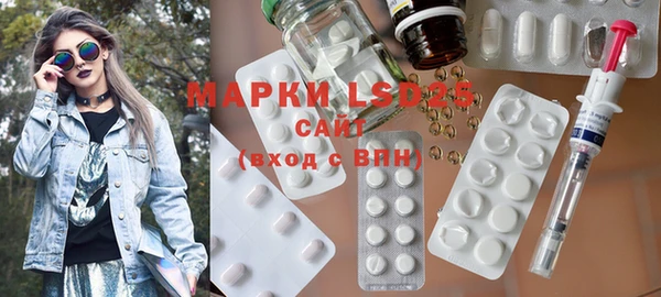 ГАЛЛЮЦИНОГЕННЫЕ ГРИБЫ Ельня