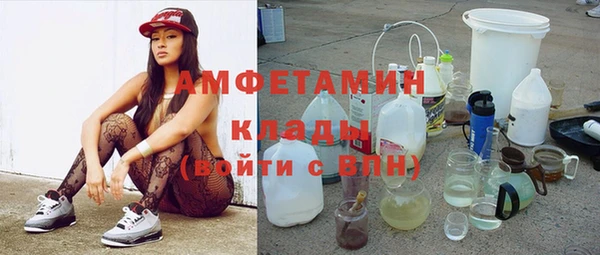 ГАЛЛЮЦИНОГЕННЫЕ ГРИБЫ Ельня