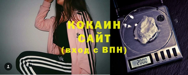 ГАЛЛЮЦИНОГЕННЫЕ ГРИБЫ Ельня