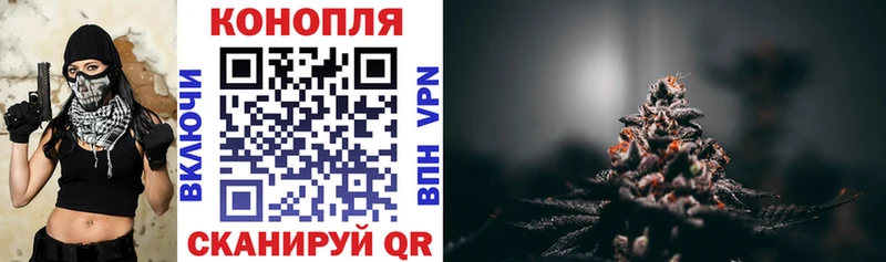 Купить  Гдов  Шишки марихуана планчик 